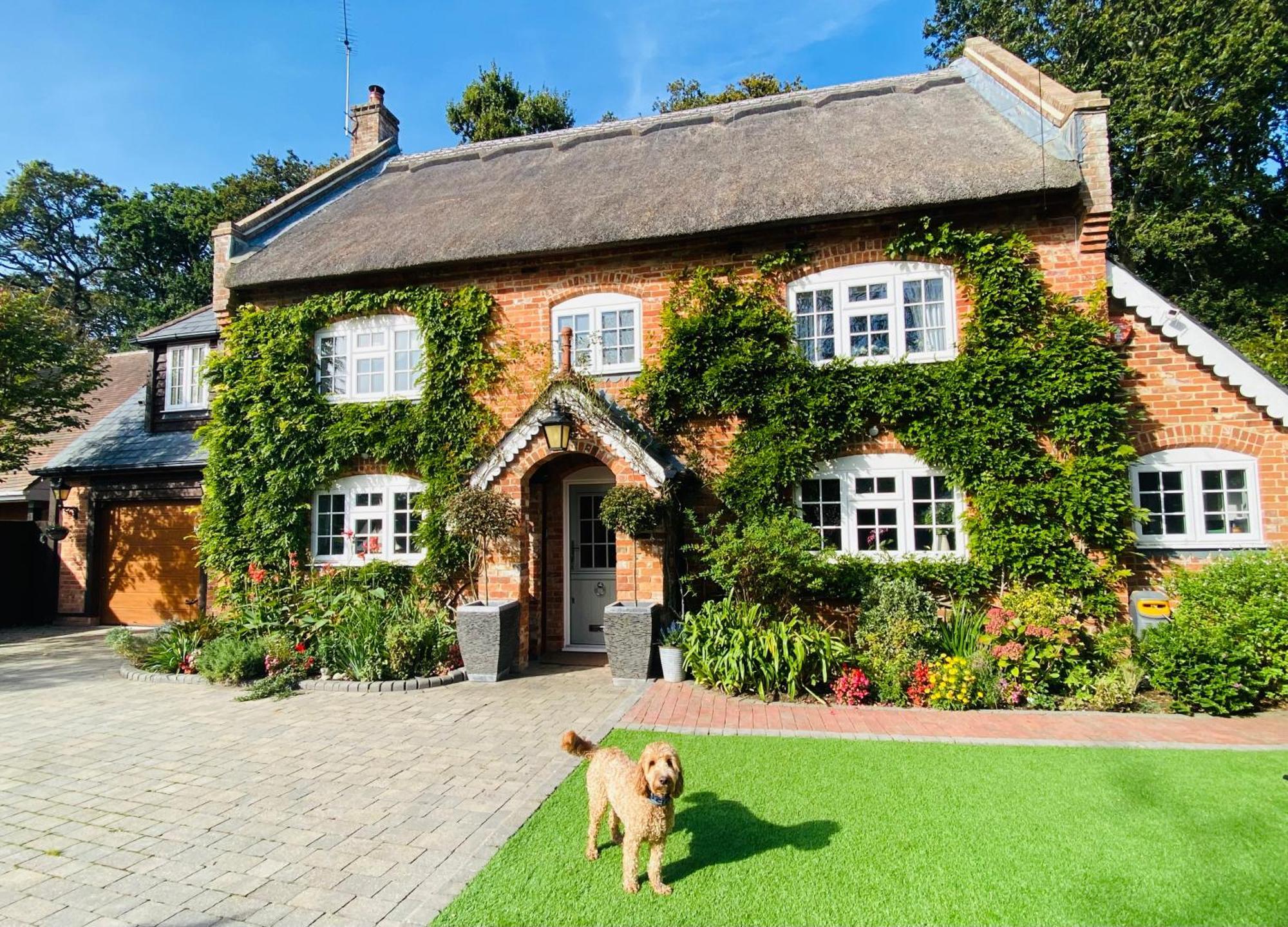 Little Woodside a beautiful New Forest self contained private luxury annexe New Milton Extérieur photo