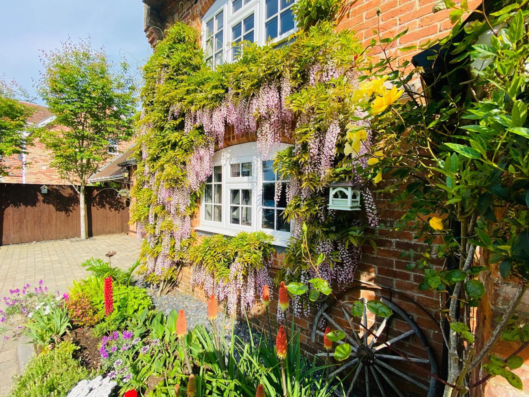Little Woodside a beautiful New Forest self contained private luxury annexe New Milton Extérieur photo