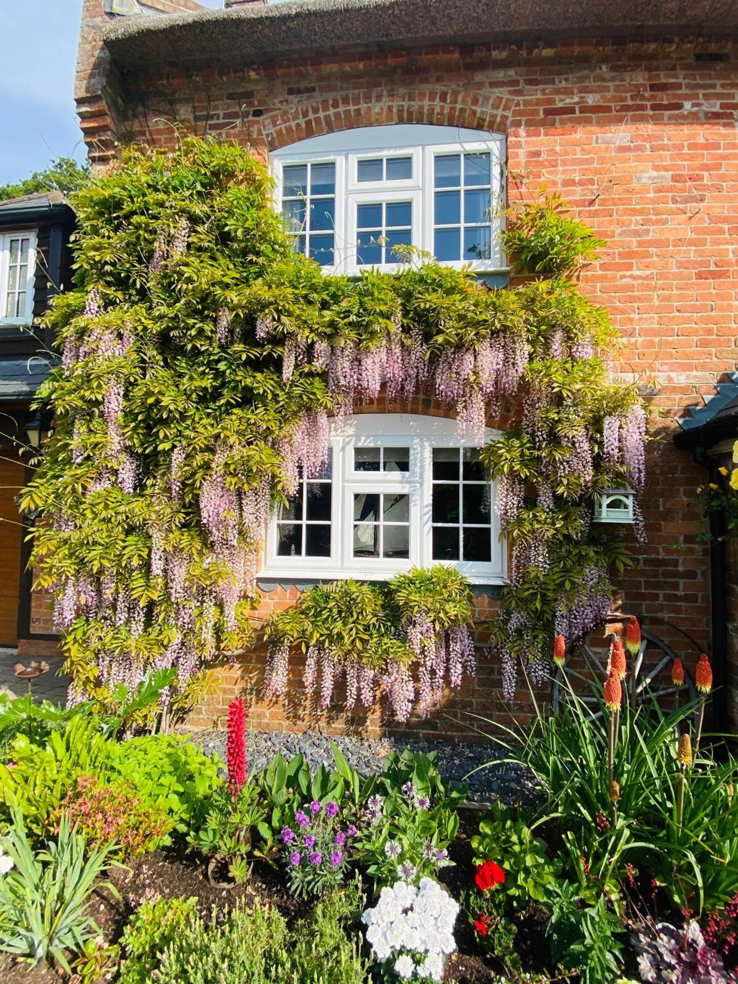 Little Woodside a beautiful New Forest self contained private luxury annexe New Milton Extérieur photo