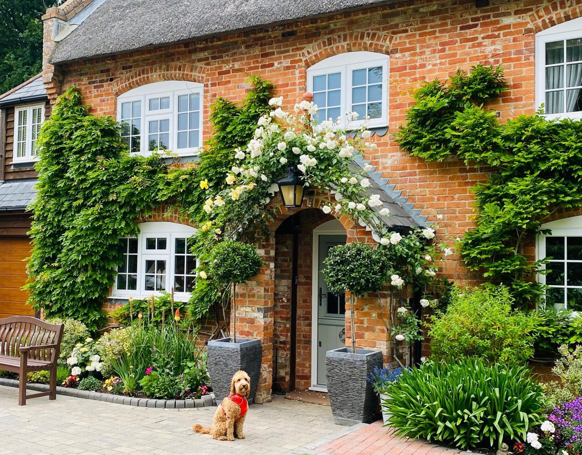 Little Woodside a beautiful New Forest self contained private luxury annexe New Milton Extérieur photo