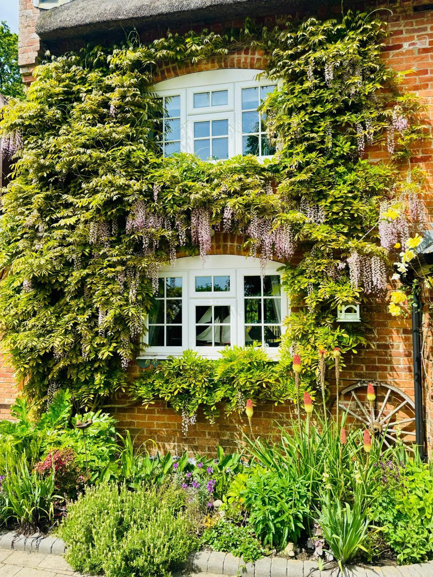 Little Woodside a beautiful New Forest self contained private luxury annexe New Milton Extérieur photo
